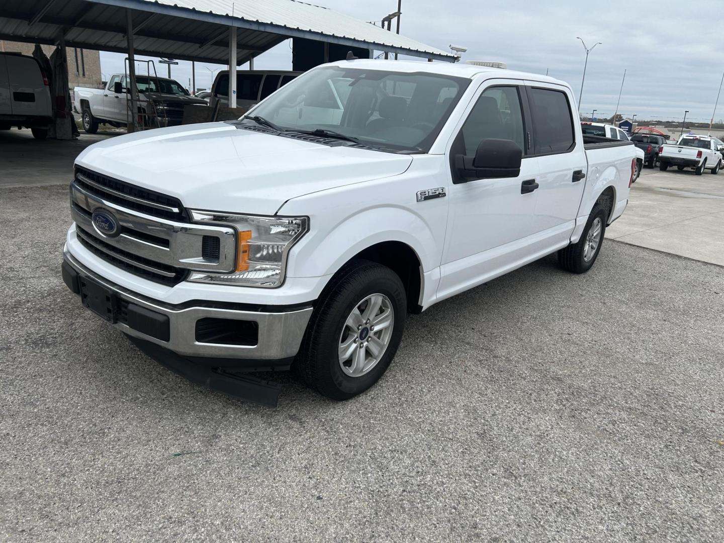 2019 White Ford F-150 XLT SuperCrew 5.5-ft. 2WD (1FTEW1CB5KK) with an 3.3L V6 DOHC 24V engine, 6A transmission, located at 1687 Business 35 S, New Braunfels, TX, 78130, (830) 625-7159, 29.655487, -98.051491 - Photo#0