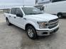 2019 White Ford F-150 XLT SuperCrew 5.5-ft. 2WD (1FTEW1CB5KK) with an 3.3L V6 DOHC 24V engine, 6A transmission, located at 1687 Business 35 S, New Braunfels, TX, 78130, (830) 625-7159, 29.655487, -98.051491 - Photo#3