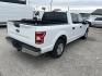 2019 White Ford F-150 XLT SuperCrew 5.5-ft. 2WD (1FTEW1CB5KK) with an 3.3L V6 DOHC 24V engine, 6A transmission, located at 1687 Business 35 S, New Braunfels, TX, 78130, (830) 625-7159, 29.655487, -98.051491 - Photo#2