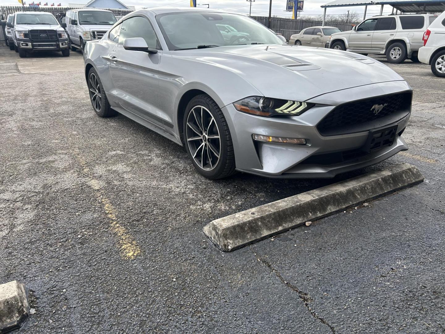 2021 Silver Ford Mustang EcoBoost Coupe (1FA6P8TH7M5) with an 2.3L L4 DOHC 16V engine, located at 1687 Business 35 S, New Braunfels, TX, 78130, (830) 625-7159, 29.655487, -98.051491 - Photo#2