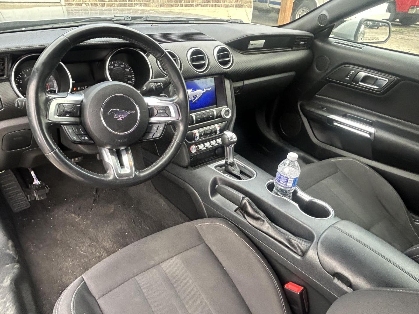 2021 Silver Ford Mustang EcoBoost Coupe (1FA6P8TH7M5) with an 2.3L L4 DOHC 16V engine, located at 1687 Business 35 S, New Braunfels, TX, 78130, (830) 625-7159, 29.655487, -98.051491 - Photo#8