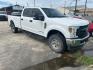 2019 Ford F-350 SD (1FT8W3BTXKE) with an 6.7L V8 F OHV 32V engine, Automatic transmission, located at 1687 Business 35 S, New Braunfels, TX, 78130, (830) 625-7159, 29.655487, -98.051491 - Photo#1