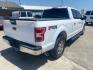 2019 White Ford F-150 XLT SuperCrew 6.5-ft. Bed 4WD (1FTFW1E52KK) with an 5.0L V8 OHV 16V engine, 6A transmission, located at 1687 Business 35 S, New Braunfels, TX, 78130, (830) 625-7159, 29.655487, -98.051491 - Photo#1