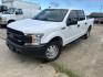 2020 White Ford F-150 XL SuperCrew 5.5-ft. 2WD (1FTEW1C54LK) with an 5.0L V8 OHV 32V engine, 6A transmission, located at 1687 Business 35 S, New Braunfels, TX, 78130, (830) 625-7159, 29.655487, -98.051491 - Photo#0