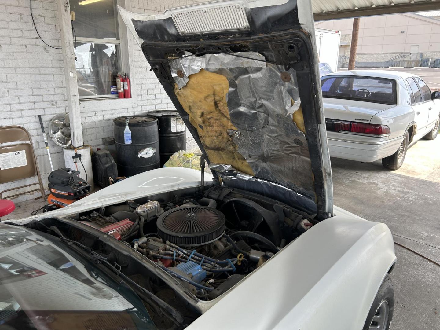 1976 White /Red Chevrolet Corvette Sting Ray (1Z37L6S4368) with an 350 V8 Chevrolet 350HP engine, Automatic transmission, located at 1687 Business 35 S, New Braunfels, TX, 78130, (830) 625-7159, 29.655487, -98.051491 - Photo#19