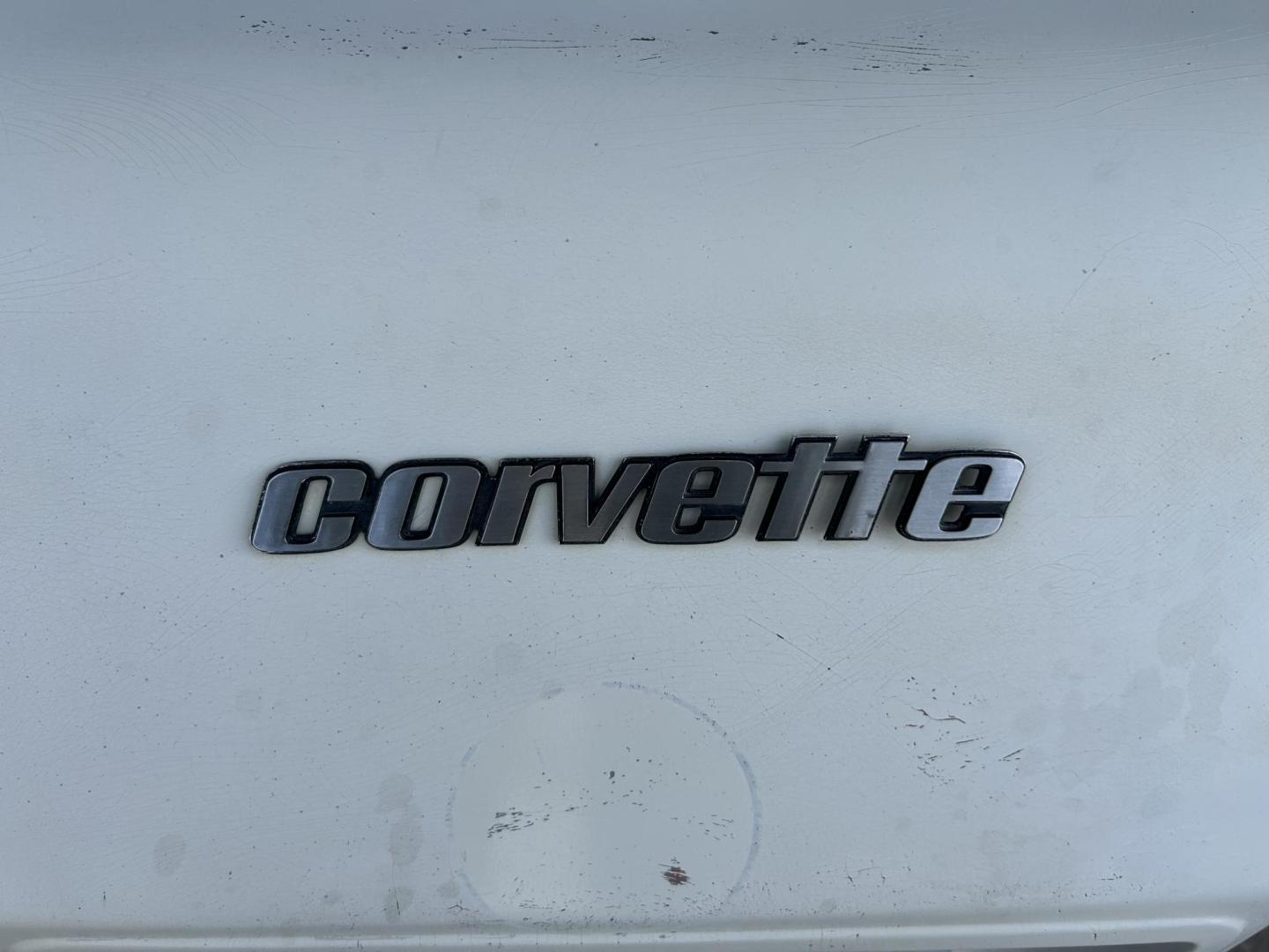 1976 White /Red Chevrolet Corvette Sting Ray (1Z37L6S4368) with an 350 V8 Chevrolet 350HP engine, Automatic transmission, located at 1687 Business 35 S, New Braunfels, TX, 78130, (830) 625-7159, 29.655487, -98.051491 - Photo#22