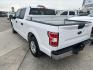 2018 White Ford F-150 XLT SuperCrew 5.5-ft. 2WD (1FTEW1CB0JK) with an 3.3L V6 DOHC 24V engine, 6A transmission, located at 1687 Business 35 S, New Braunfels, TX, 78130, (830) 625-7159, 29.655487, -98.051491 - Photo#1